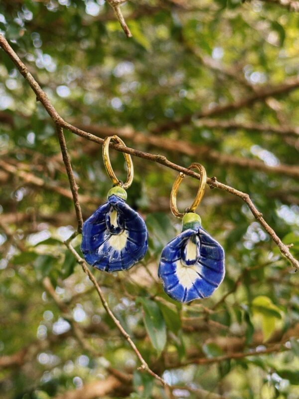 Aretes Clitoria